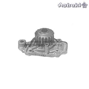 Ashuki Water Pump
