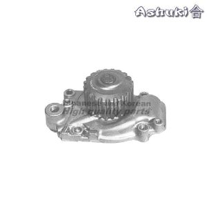 Ashuki Water Pump
