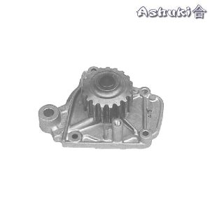 Ashuki Water Pump