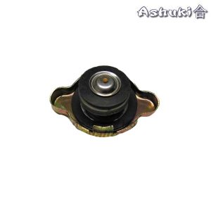 Ashuki Radiator Cap