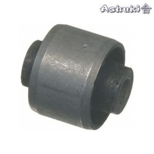 Ashuki Bush Arm, Rear, Middle