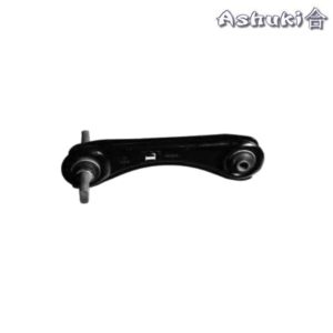 Ashuki Rear Lower Control Arm Upper Left