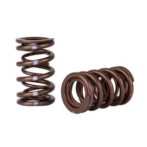 Skunk2 - Pro Series XP Valve Springs Honda B-Series H-Series 8 SKUNK2 - Honda Valve Springs Pro Series XP (B-Series | H-Series )