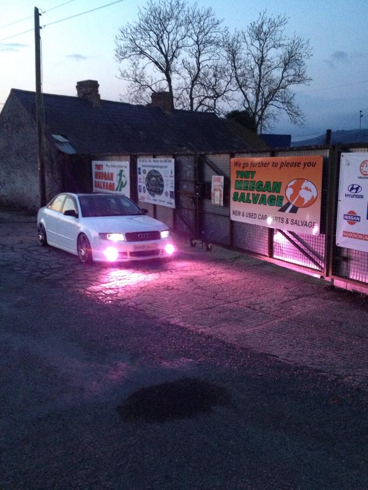 HID/Xenon Kits - 1 Year Warranty 2 audi a4 b6 darryll meegan