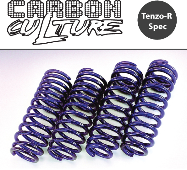 CARBON CULTURE - Honda Civic Lowering Springs EG/EK/DC2 (55mm) 2 carbon culture springs image 1 1