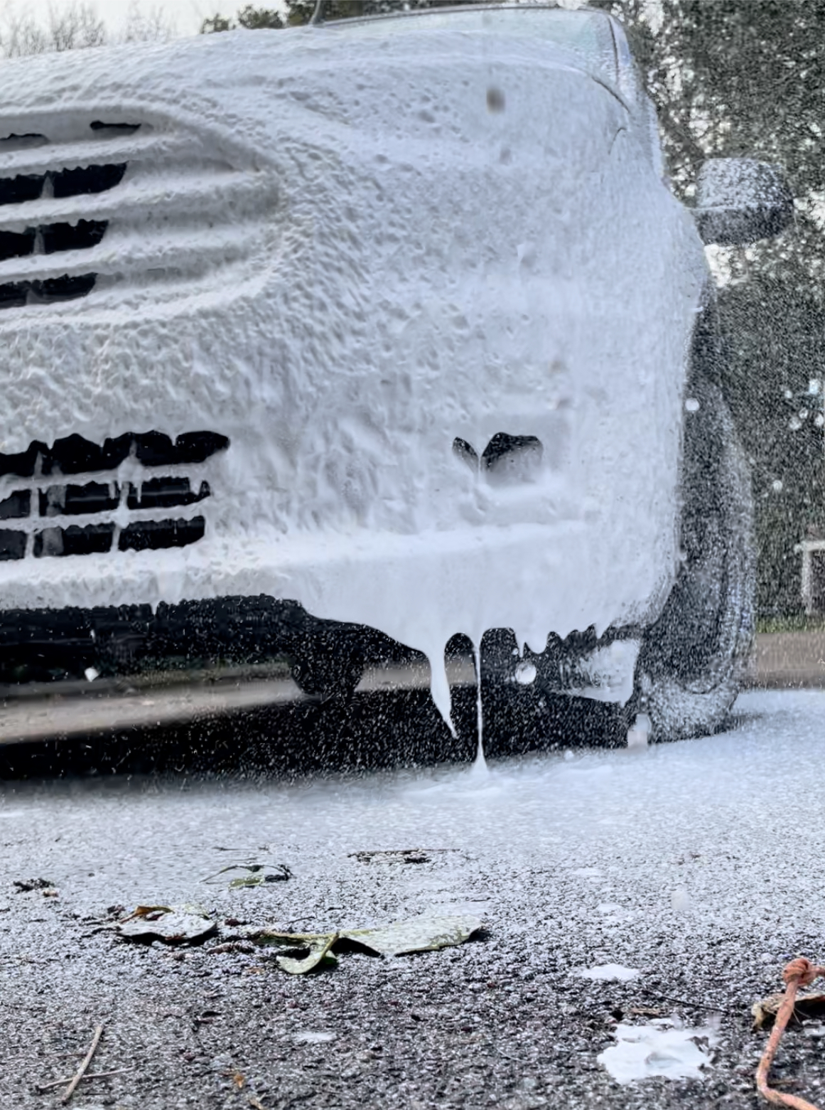 Rapro Foam Cannon 6 IMG 3585 1