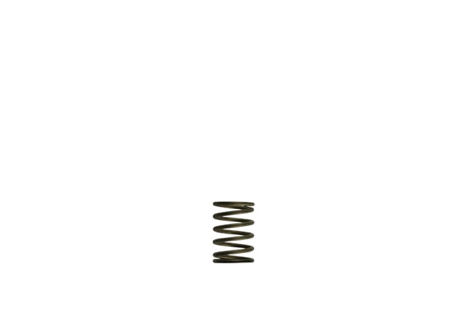 TurboSmart - GenV WG38/40 3psi Black Inner Spring 1 TurboSmart - GenV WG38/40 3psi Black Inner Spring