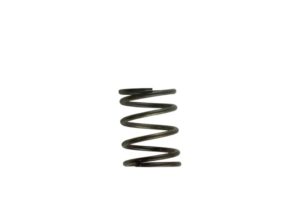 TurboSmart - Gen4 / IWG WG38/40/45/50L 5PSI INNER SPRING - BROWN/GREY 9 9bce85c903193d72fa993efe67a802907777e5d1 TS 0505 2002 1