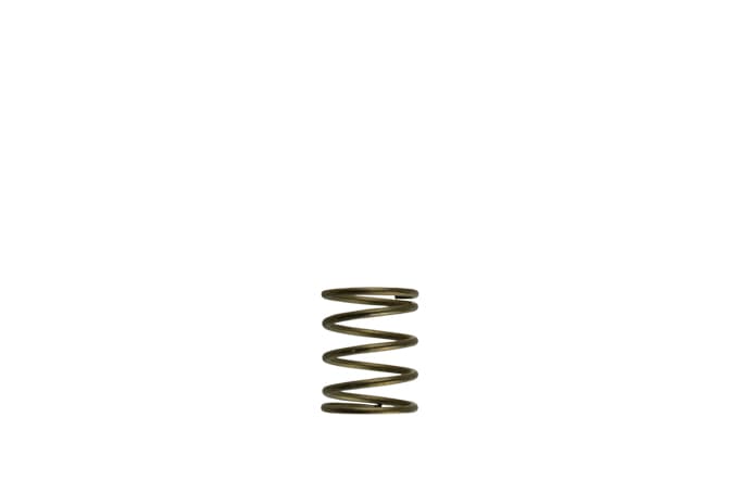 TurboSmart - GenV WG45/50 3psi Orange Inner Spring 1 Orange Inner Spring