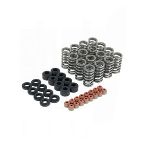 Skunk2 - Racing Valve Springs & Spring Base Kit Ultra Series Honda Civic L15B7 16-21 8 313 05 9400 1