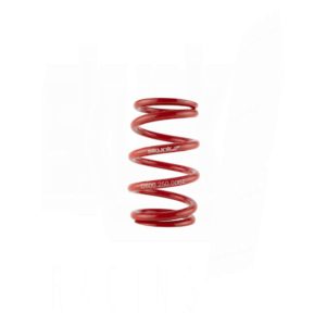 Skunk2 - Racing Lowering Spring 6" L x 2.5" ID Ellipse 6kg/mm 336lb/in 9 Lowering Spring