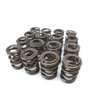 Skunk2 - Alpha Series Valve Spring Kit Honda B-Series B16 B18 6 skunk2 alpha series valve spring kit honda b b16 b18 cams valvetrain 308