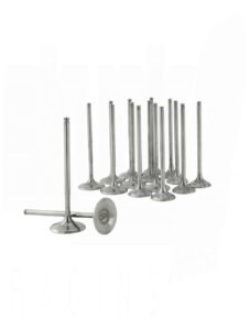 Skunk2 - Ultra Series Valves Stock Size Standard Compression Valves Honda B-Series