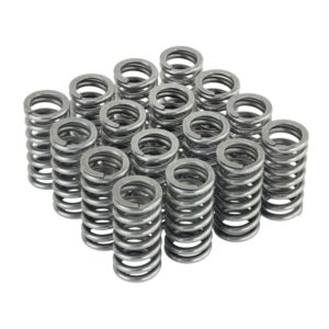 Mugen - Valve Spring Set Honda Integra Type R DC5 01-06