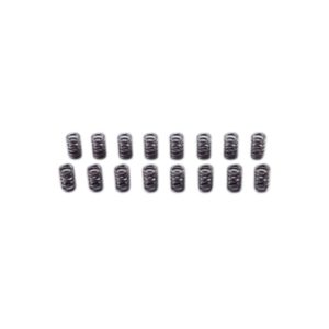 Mugen - Valve Spring Set Honda Civic Type R FD2 07-11 10 valve spring01