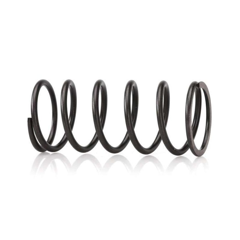 HKS - Replacement Wastegate Spring 1 HKS - Replacement Wastegate Spring