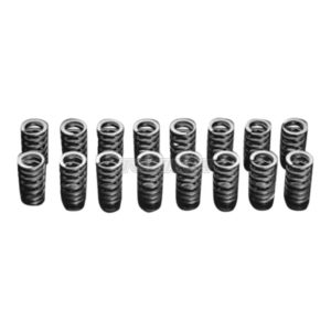 HKS - Valve Spring Kit Toyota Corolla